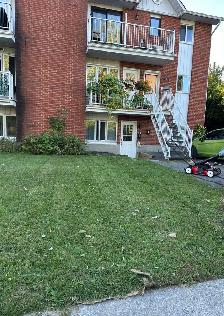 lawn mowing service - Photo 3