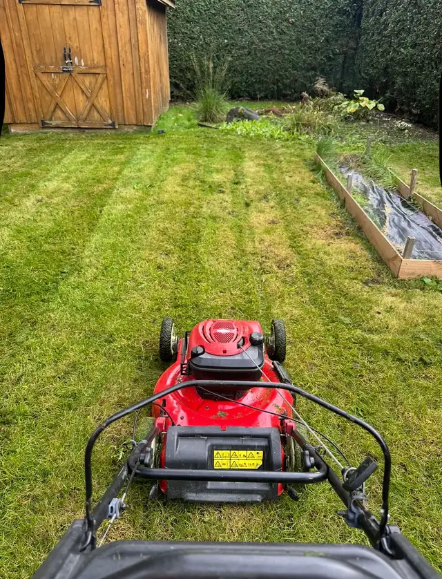 lawn mowing service - Photo 4