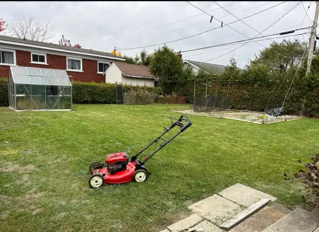 lawn mowing service - Photo 5