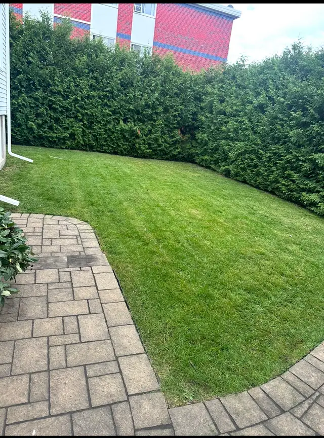 lawn mowing service - Photo 6