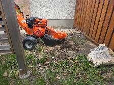 stump griding