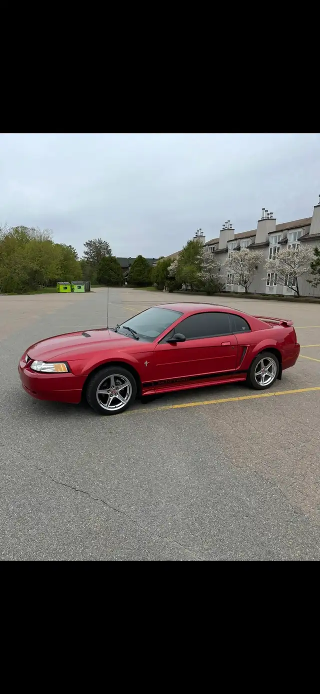 Ford mustang