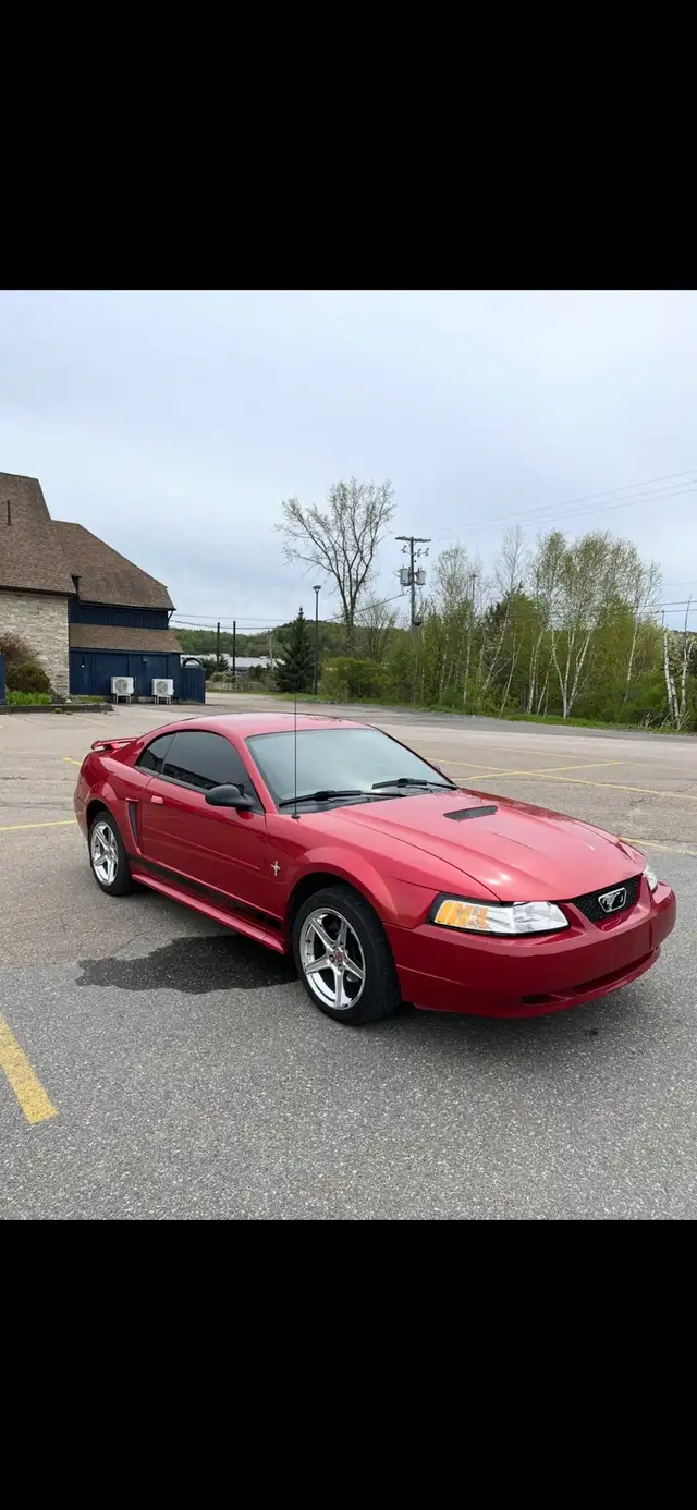Ford mustang - Photo 3
