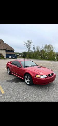 Ford mustang - Photo 3