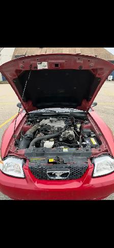 Ford mustang - Photo 4