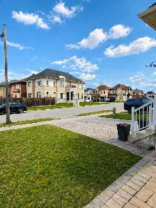 1 Bedroom Basement Apartment for Rent – East Gwillimbury (Sharon - Photo 10