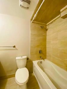 1 Bedroom Basement Apartment for Rent – East Gwillimbury (Sharon - Photo 20