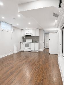 1 Bedroom Basement Apartment for Rent – East Gwillimbury (Sharon - Photo 27