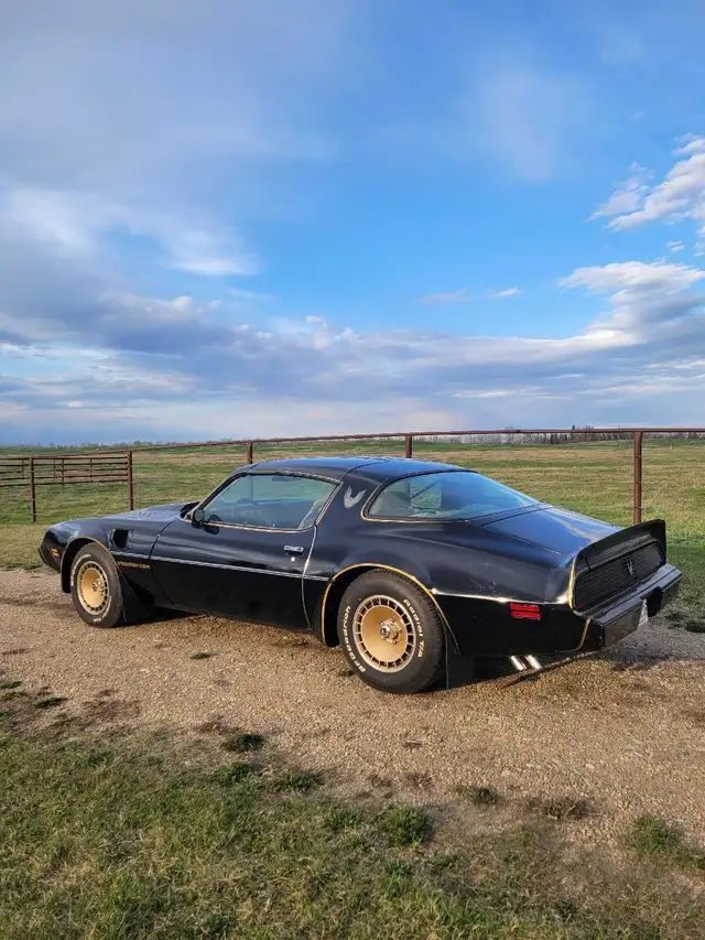 1981 Pontiac Trans Am SURVIVOR - Photo 3