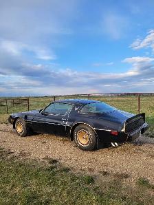 1981 Pontiac Trans Am SURVIVOR - Photo 3