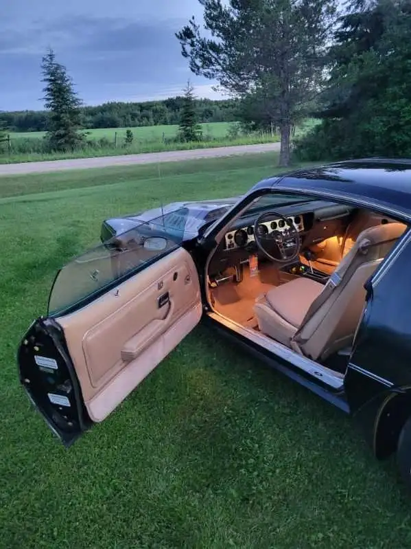 1981 Pontiac Trans Am SURVIVOR - Photo 4