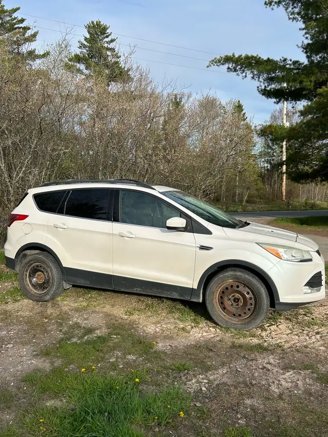 2013 & 2014 Ford Escapes FOR PARTS - Photo 3