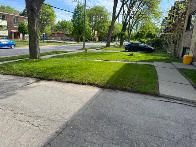 Grass Cutting Commercial and Residential