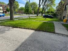 Grass Cutting Commercial and Residential