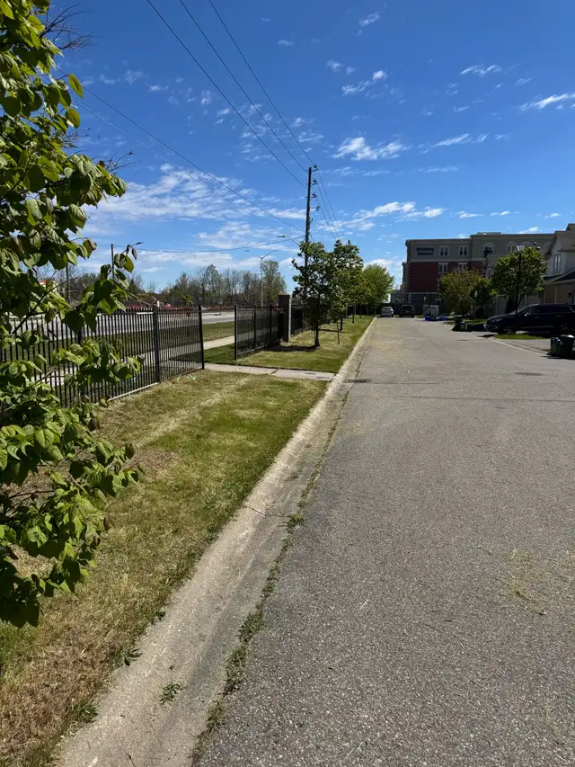 Grass Cutting Commercial and Residential - Photo 5