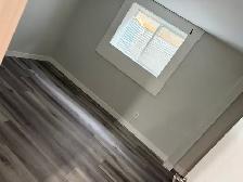 legal 1 bedroom basement suite close to marlb mall - Photo 4