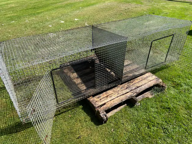 large custom made rabbit cages for sale - Photo 3