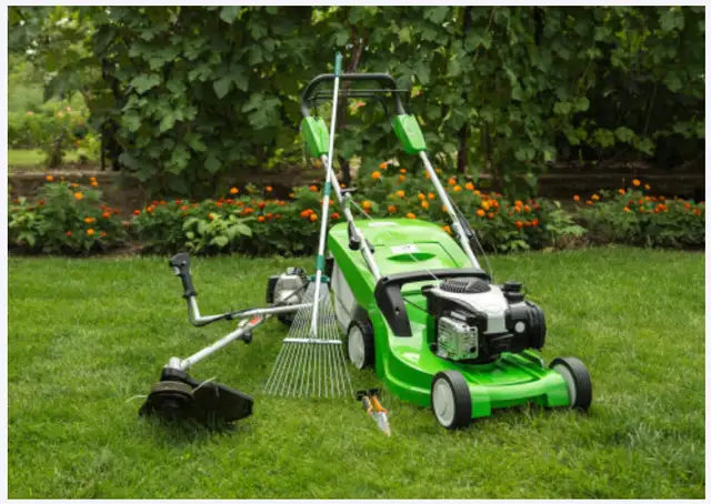 Yard maintenance