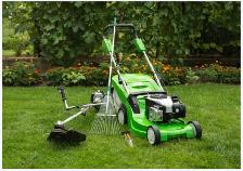 Yard maintenance