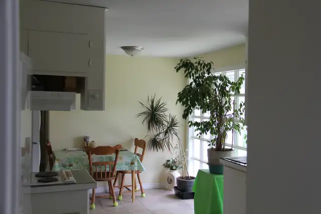 Studio Style room for rent - Private Entrance Fulton Heights - Photo 3