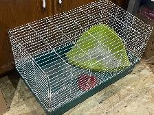 rabbit cage