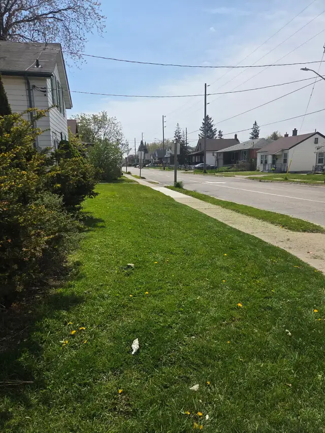 Do you need your grass cut?