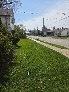 Do you need your grass cut?