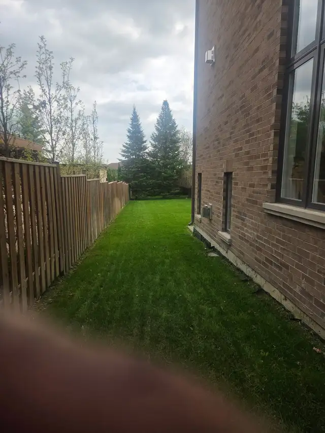 Do you need your grass cut? - Photo 2