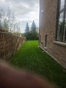 Do you need your grass cut? - Photo 2