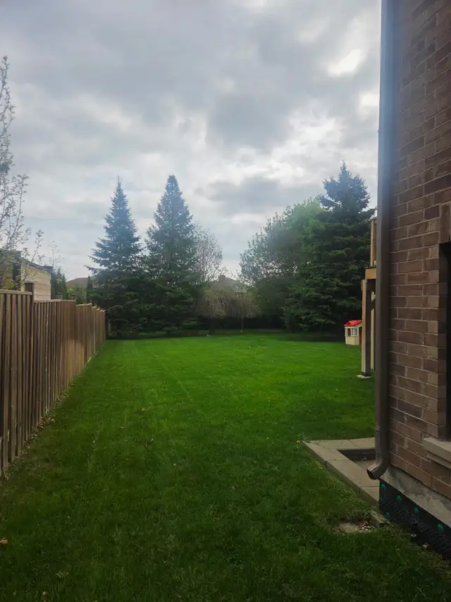 Do you need your grass cut? - Photo 3