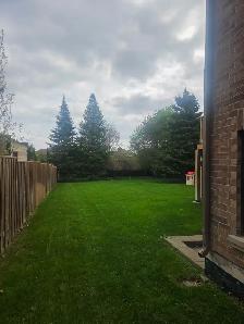 Do you need your grass cut? - Photo 3