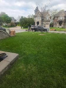 Do you need your grass cut? - Photo 4