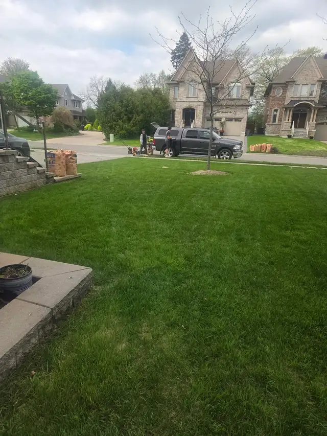 Do you need your grass cut? - Photo 5