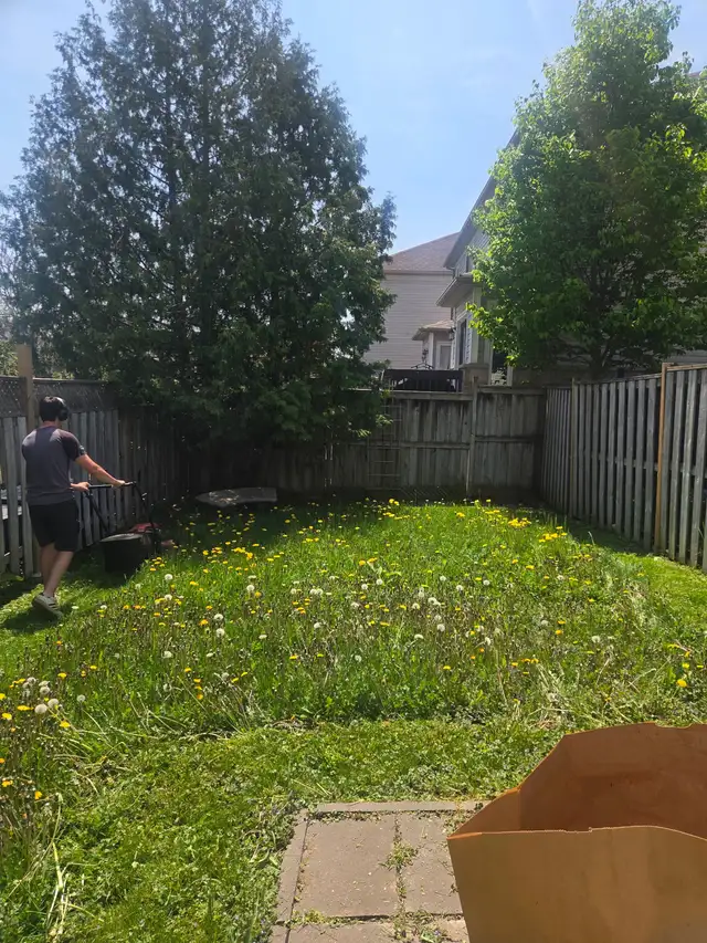 Do you need your grass cut? - Photo 6