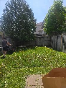 Do you need your grass cut? - Photo 6