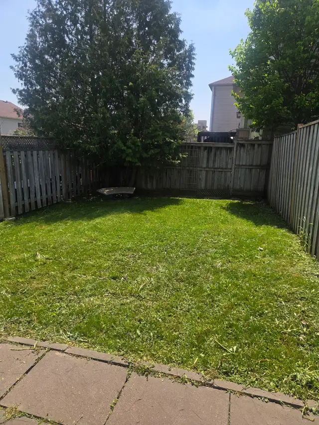 Do you need your grass cut? - Photo 7