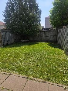 Do you need your grass cut? - Photo 7