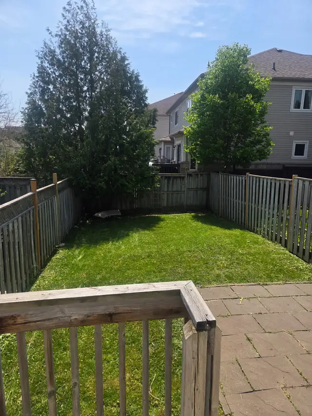 Do you need your grass cut? - Photo 9