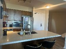 One bedroom   den newly renovated condo for rent in Mississauga - Photo 4