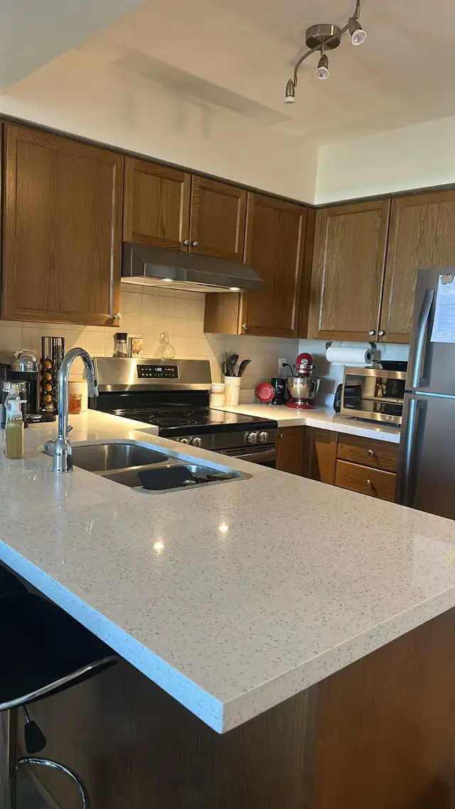 One bedroom   den newly renovated condo for rent in Mississauga - Photo 5