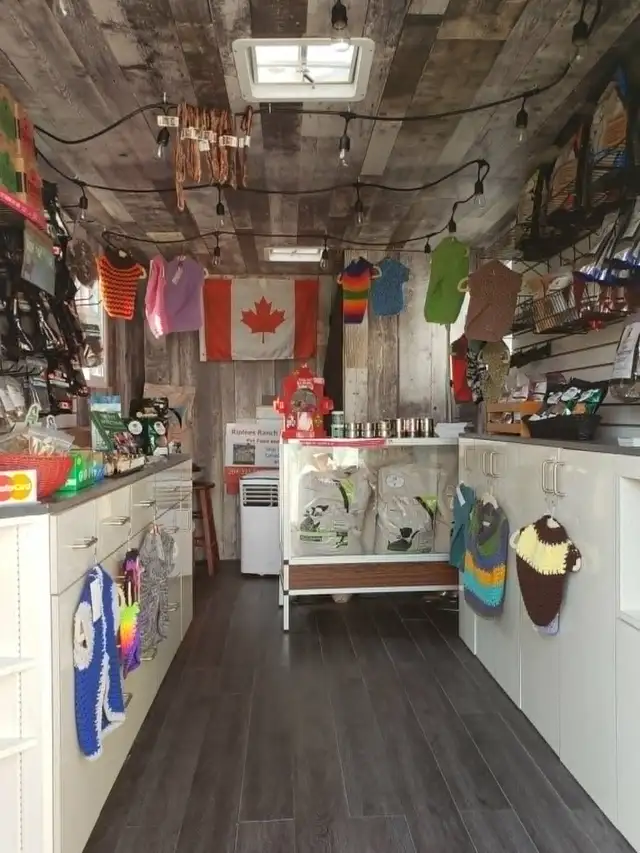 Mobile Vendor Store - Photo 6