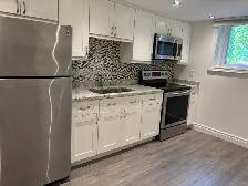 Leslieville Renovated 1 Bedroom Basement Apartment - Photo 3