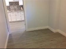 Leslieville Renovated 1 Bedroom Basement Apartment - Photo 5