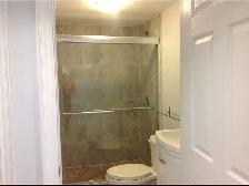 Leslieville Renovated 1 Bedroom Basement Apartment - Photo 6