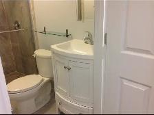 Leslieville Renovated 1 Bedroom Basement Apartment - Photo 7