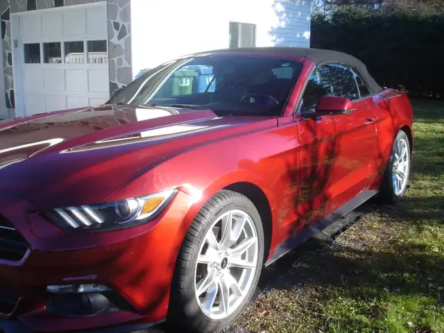 cars & vehicles