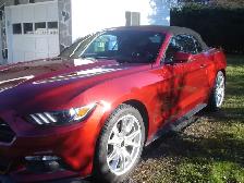 cars & vehicles