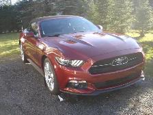 cars & vehicles - Photo 4