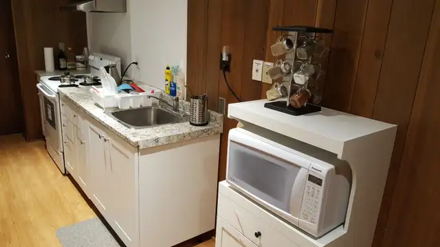 Large Room with Private Ensuite Bathroom for Rent – North York - Photo 5