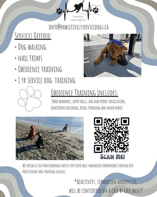 dog training